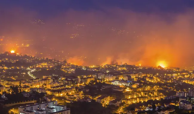2017 10 19 afectados por incendio de galicia y portugal piden indemnizacion a los seguros 1