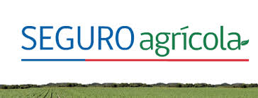 2016 12 17 aseguradoras y seguros agricolas 1