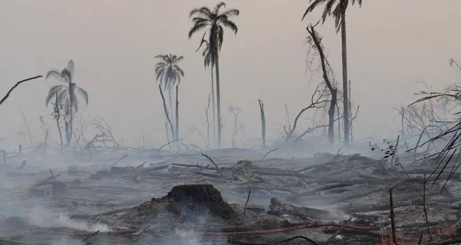 2017 09 30 desastres en cascada por el calentamiento global requiere acuerdos de seguros 1