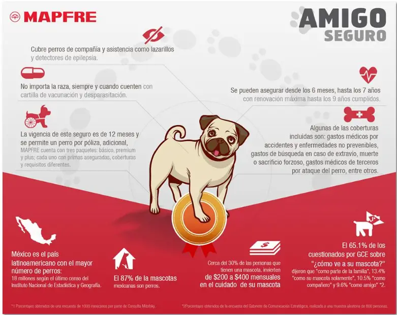 2016 01 09 seguro para mascotas en mexico con mapfre seguros 1