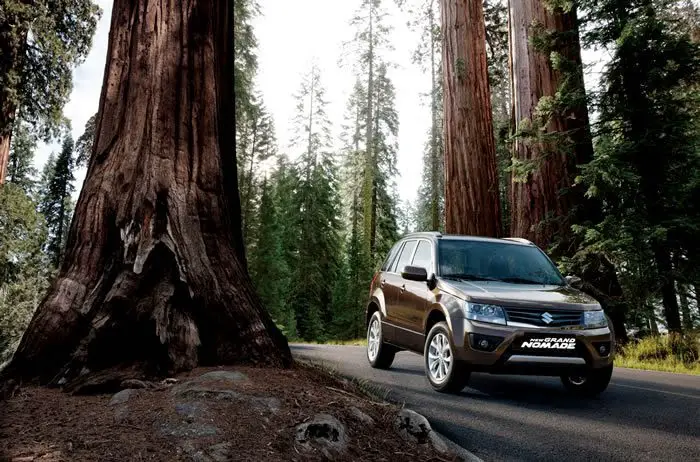 2014 05 26 suzuki grand nomade 20 1